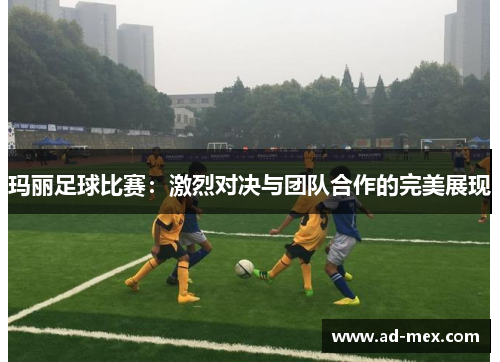 玛丽足球比赛：激烈对决与团队合作的完美展现